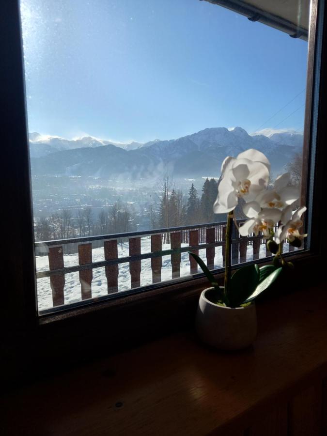 Appartement Niebianska Gran à Zakopane Extérieur photo