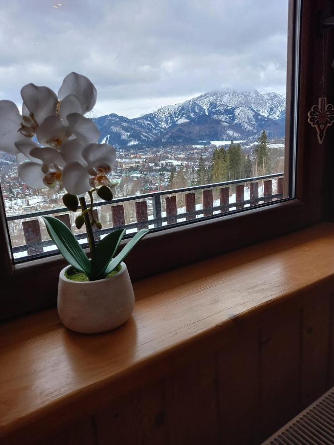 Appartement Niebianska Gran à Zakopane Extérieur photo